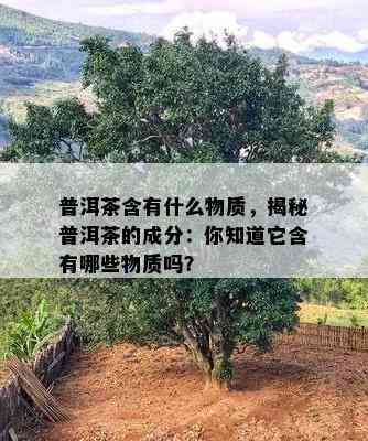 普洱茶含有什么物质，揭秘普洱茶的成分：你知道它含有哪些物质吗？