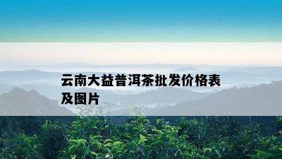 云南大益普洱茶批发价格表及图片