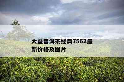 大益普洱茶经典7562最新价格及图片