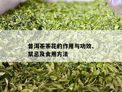 普洱茶茶花的作用与功效、禁忌及食用方法