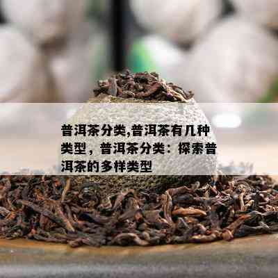 普洱茶分类,普洱茶有几种类型，普洱茶分类：探索普洱茶的多样类型