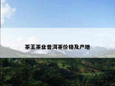 茶王茶业普洱茶价格及产地