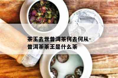 茶王去世普洱茶何去何从-普洱茶茶王是什么茶