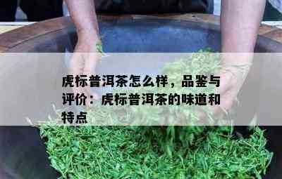 虎标普洱茶怎么样，品鉴与评价：虎标普洱茶的味道和特点