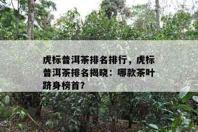 虎标普洱茶排名排行，虎标普洱茶排名揭晓：哪款茶叶跻身榜首？