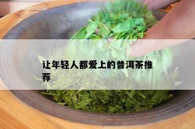 让年轻人都爱上的普洱茶推荐