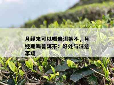 月经来可以喝普洱茶不，月经期喝普洱茶：好处与注意事项