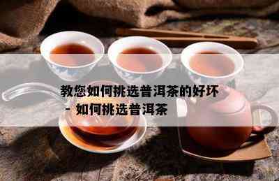 教您如何挑选普洱茶的好坏 - 如何挑选普洱茶