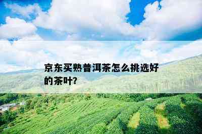 京东买熟普洱茶怎么挑选好的茶叶？