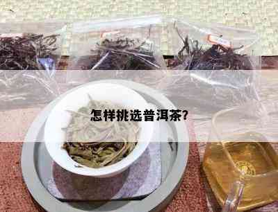 怎样挑选普洱茶？