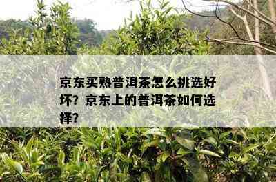 京东买熟普洱茶怎么挑选好坏？京东上的普洱茶如何选择？