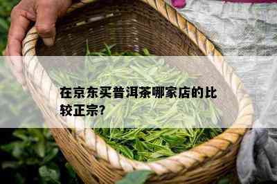 在京东买普洱茶哪家店的比较正宗？