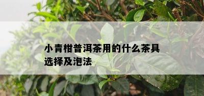 小青柑普洱茶用的什么茶具选择及泡法