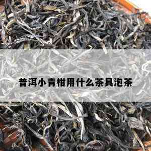 普洱小青柑用什么茶具泡茶