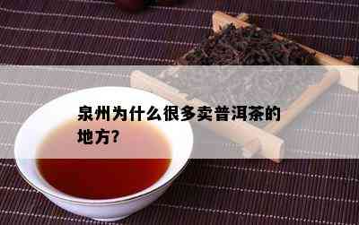 泉州为什么很多卖普洱茶的地方？