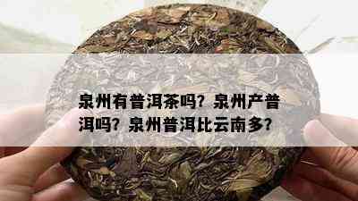 泉州有普洱茶吗？泉州产普洱吗？泉州普洱比云南多？