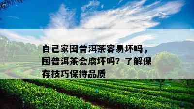 自己家囤普洱茶容易坏吗，囤普洱茶会腐坏吗？了解保存技巧保持品质