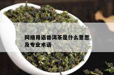 网络用语普洱茶是什么意思及专业术语