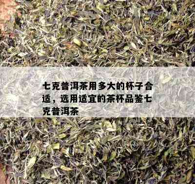 七克普洱茶用多大的杯子合适，选用适宜的茶杯品鉴七克普洱茶