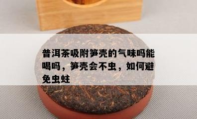 普洱茶吸附笋壳的气味吗能喝吗，笋壳会不虫，如何避免虫蛀