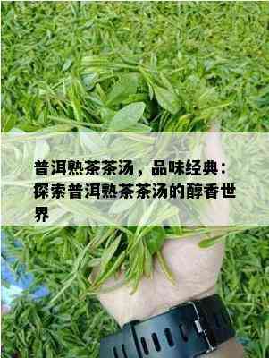 普洱熟茶茶汤，品味经典：探索普洱熟茶茶汤的醇香世界