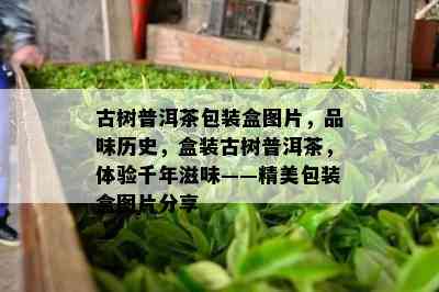 古树普洱茶包装盒图片，品味历史，盒装古树普洱茶，体验千年滋味——精美包装盒图片分享