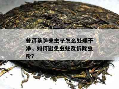 普洱茶笋壳虫子怎么处理干净，如何避免虫蛀及拆除虫粉？