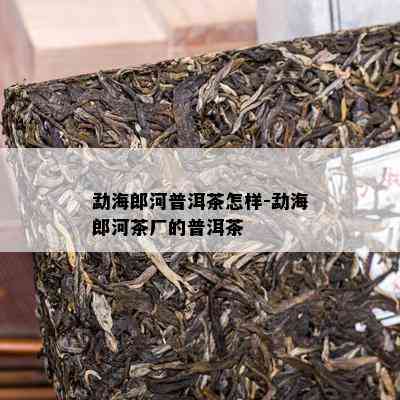 勐海郎河普洱茶怎样-勐海郎河茶厂的普洱茶