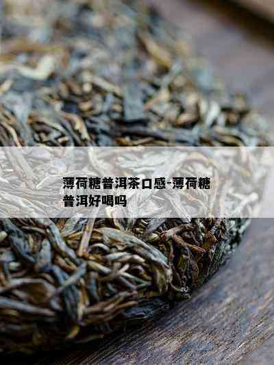 薄荷糖普洱茶口感-薄荷糖普洱好喝吗