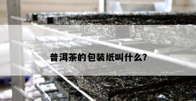 普洱茶的包装纸叫什么？