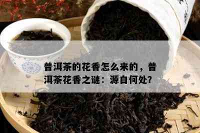 普洱茶的花香怎么来的，普洱茶花香之谜：源自何处？