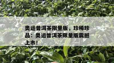 奥运普洱茶 *** 版，珍稀珍品：奥运普洱茶 *** 版震撼上市！