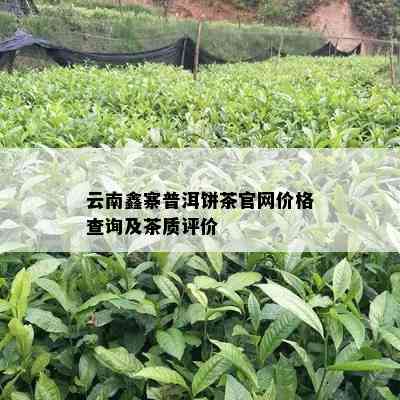 云南鑫寨普洱饼茶官网价格查询及茶质评价