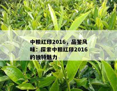 中粮红印2016，品鉴风味：探索中粮红印2016的独特魅力