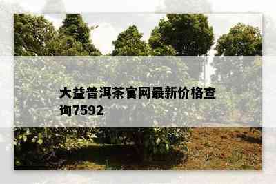 大益普洱茶官网最新价格查询7592