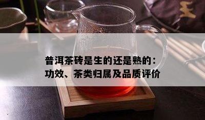 普洱茶砖是生的还是熟的：功效、茶类归属及品质评价