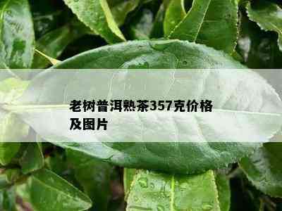 老树普洱熟茶357克价格及图片