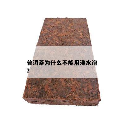 普洱茶为什么不能用沸水泡？