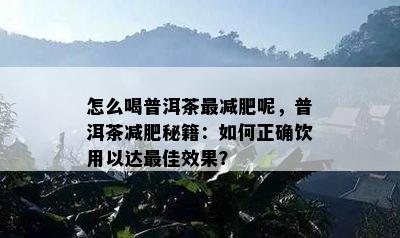 怎么喝普洱茶最减肥呢，普洱茶减肥秘籍：如何正确饮用以达更佳效果？