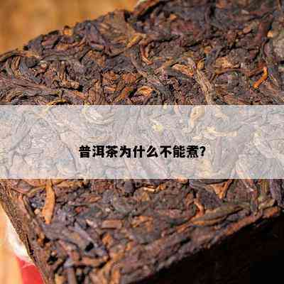 普洱茶为什么不能煮？