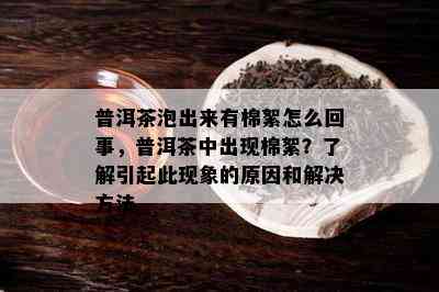 普洱茶泡出来有棉絮怎么回事，普洱茶中出现棉絮？了解引起此现象的原因和解决方法