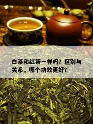 白茶和红茶一样吗？区别与关系，哪个功效更好？