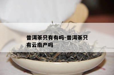 普洱茶只有有吗-普洱茶只有云南产吗