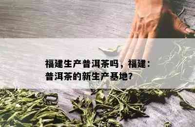 福建生产普洱茶吗，福建：普洱茶的新生产基地？