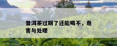 普洱茶过期了还能喝不，危害与处理