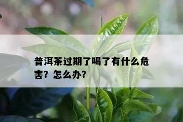 普洱茶过期了喝了有什么危害？怎么办？