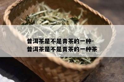 普洱茶是不是青茶的一种-普洱茶是不是青茶的一种茶