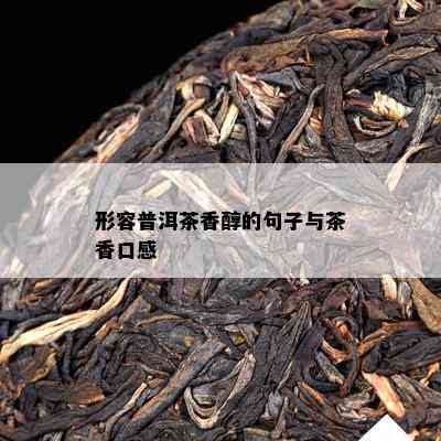 形容普洱茶香醇的句子与茶香口感