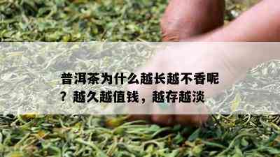 普洱茶为什么越长越不香呢？越久越值钱，越存越淡