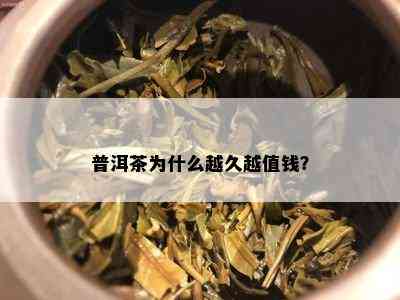 普洱茶为什么越久越值钱？